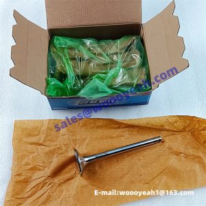 612600050025 4110000556145 SP101881 W010513510 exhaust valve for Weichai WD10G