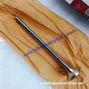 612630050002 4110002244037 intake valve exhaust valve for Weichai