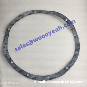 81A0136 paper gasket for Liugong