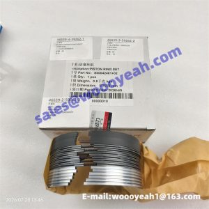 860145657 860145658 860140370 S00000975 piston ring for XCMG