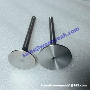 T3142L072 intake valve