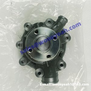 1000054021 4110003435017 water pump for Weichai TD226B