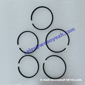CA10-350914A Z320470490 5382123 4110000038025 piston ring for BS428