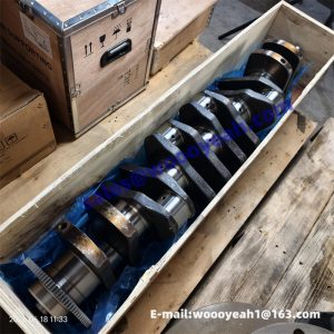 1006462630 1000072523 crankshaft assy for Weichai DHP12Q