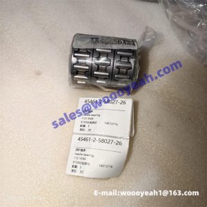 11213569 14573776 needle bearing for SDLG E6150F