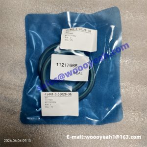 11217665 11217666 11217667 4110002163 tightening device sealing package for SDLG