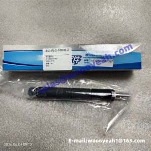 D02113775 D04501503 4110000727097 fuel injector for SDLG RS7120