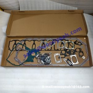 4110000727285 engine repair kit for SDLG