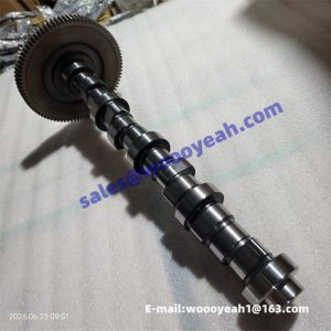 F04292902 4110000988087 camshaft assy for SDLG