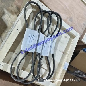D01182054 4110001841019 AV13X1200LA engine belt for SDLG G9190F