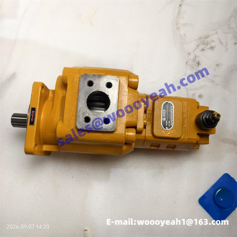 9G662-54A010000A0 steering pump for Lovol FL956