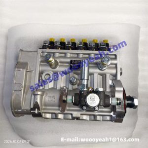 1000943171 fuel injection pump for Weichai WP10