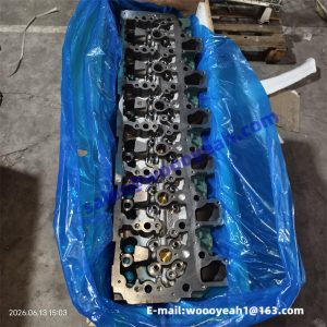 4110003164029 F04905676/A cylinder head assy for SDLG