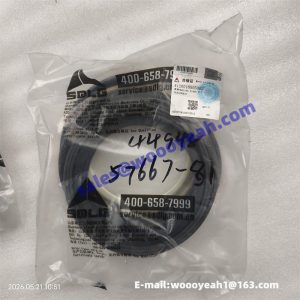4120018505002 boom cylinder seal kit for SDLG