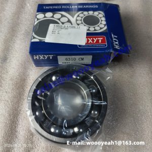 800511231 6310 GB/T276 torque converter bearing for XCMG