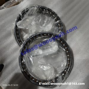 860549903 51.01.02.02.003.101 travel motor bearing for XCMG XE215C